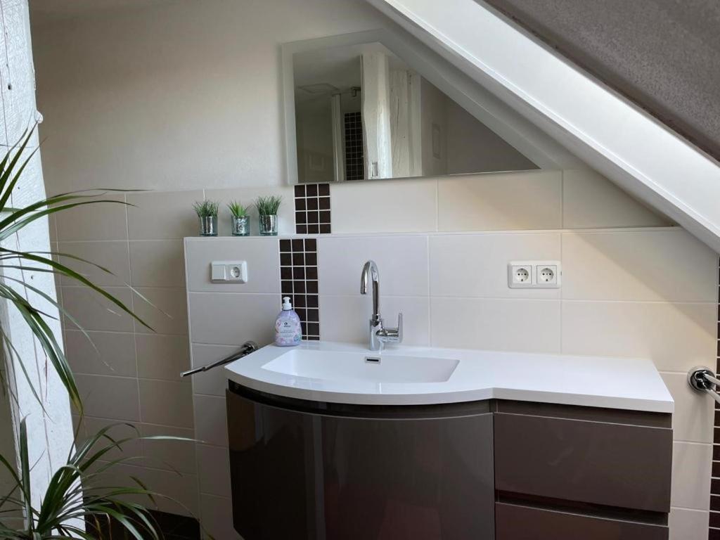 Ferienwohnung Kreft Thale Eksteriør bilde